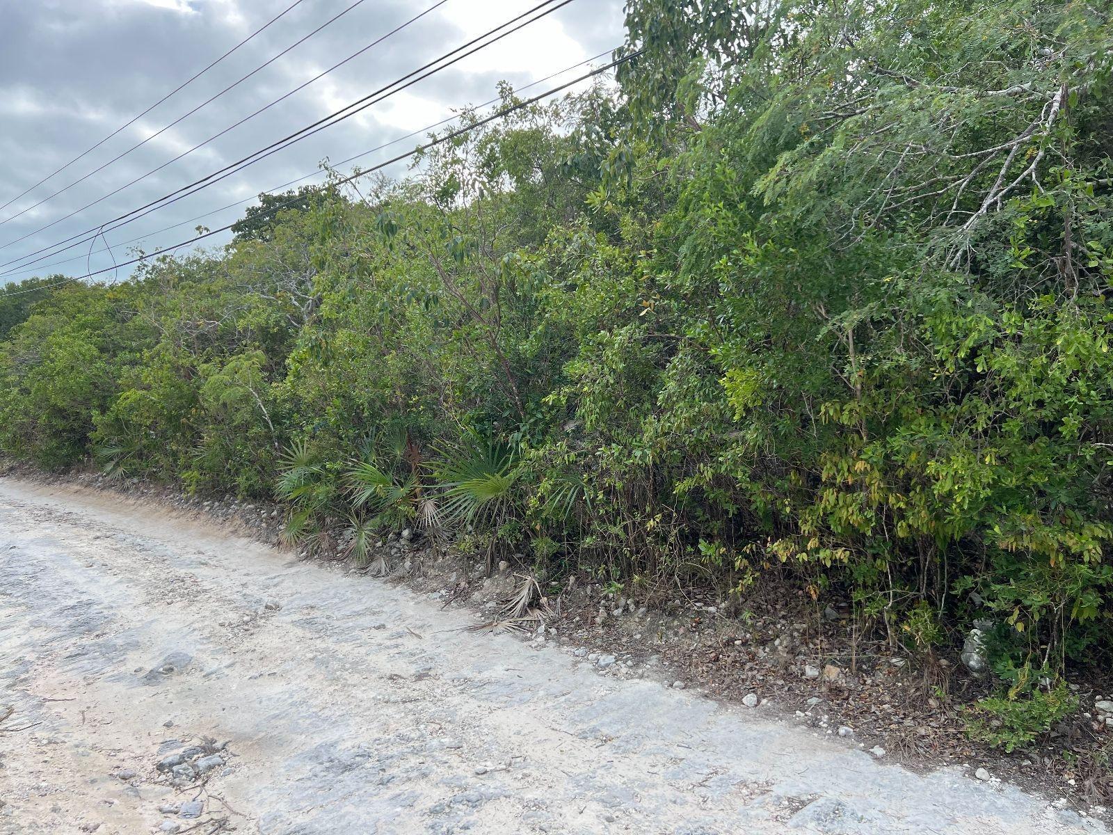 LOT 17292 BAHAMA SOUND 18 — photo 3