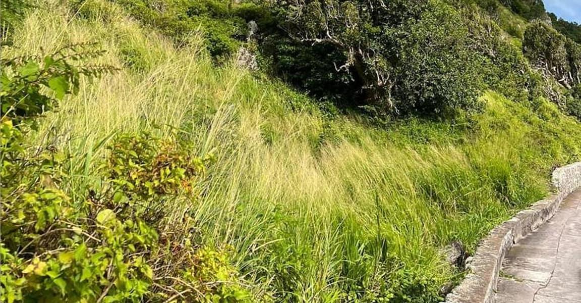 1,020 sqm Undeveloped Land in Crispeen, Saba — photo 4