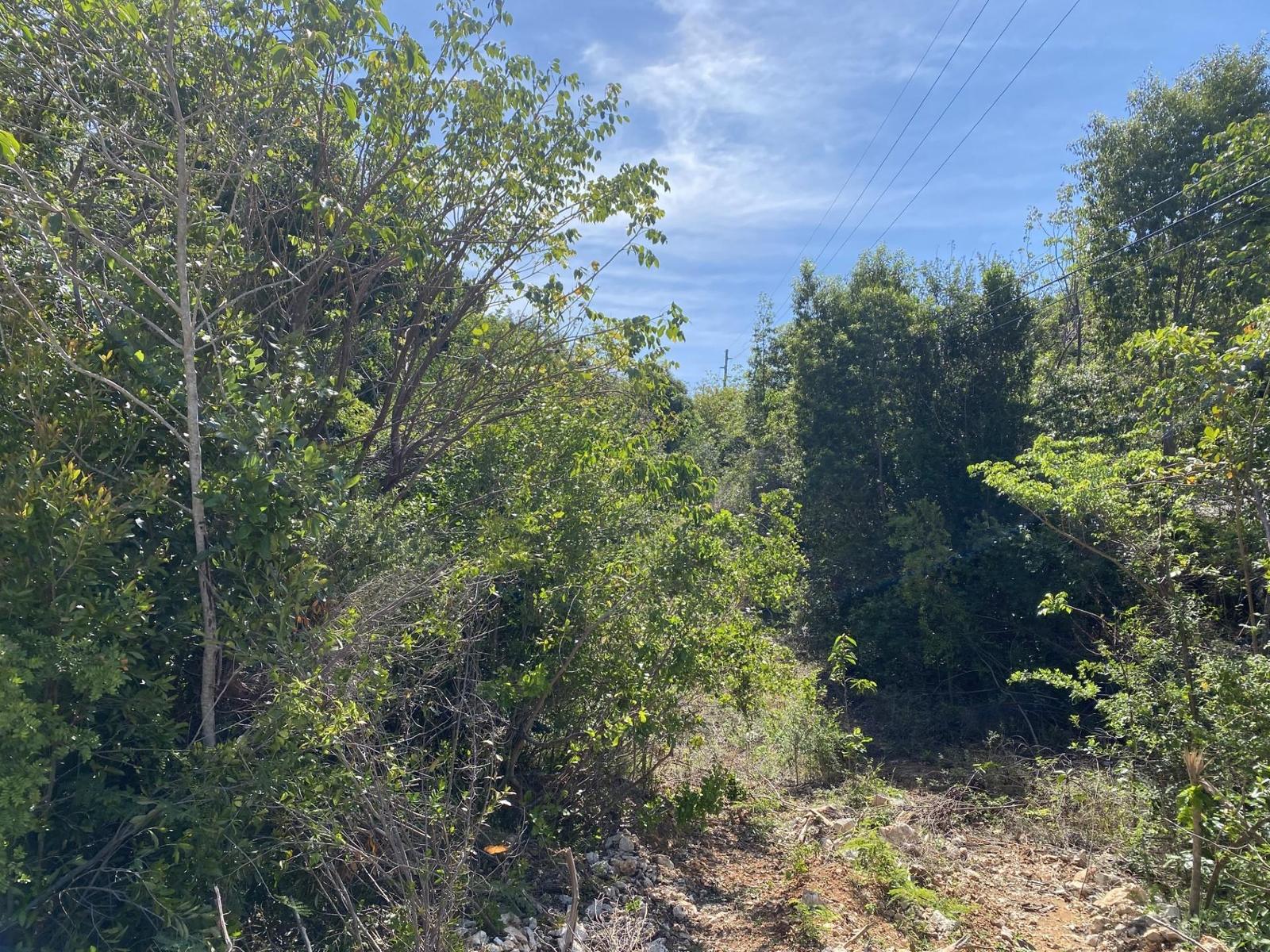 Elevated Gregory Town Lot — photo 4