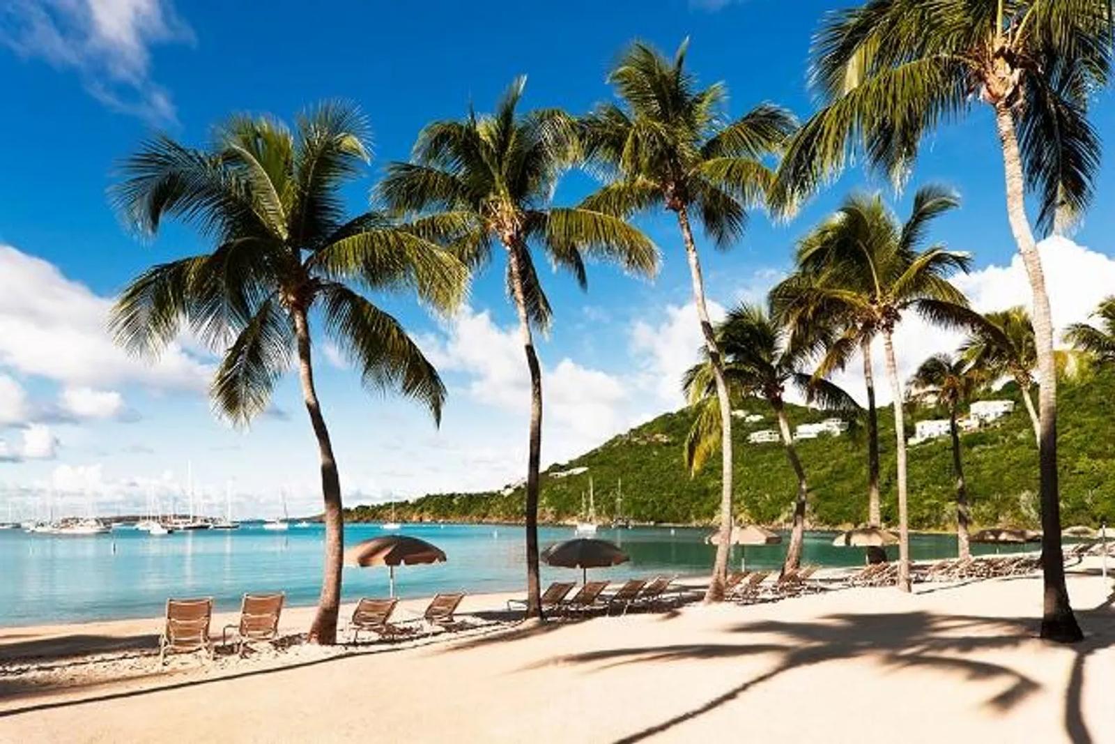 479 Chocolate Hole, St John, US Virgin Islands — photo 4