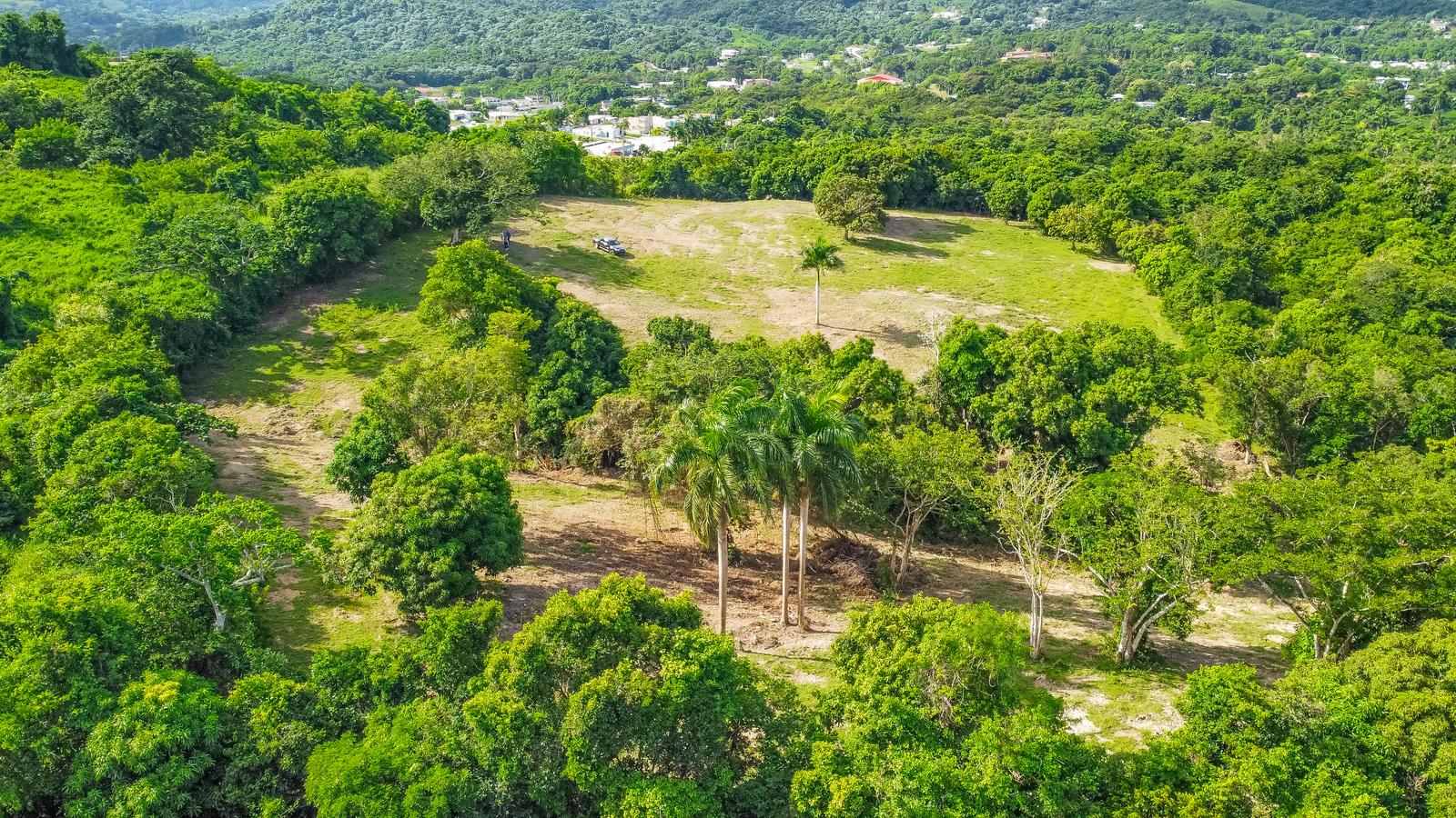 Unique land for sale with Ocean View — photo 3