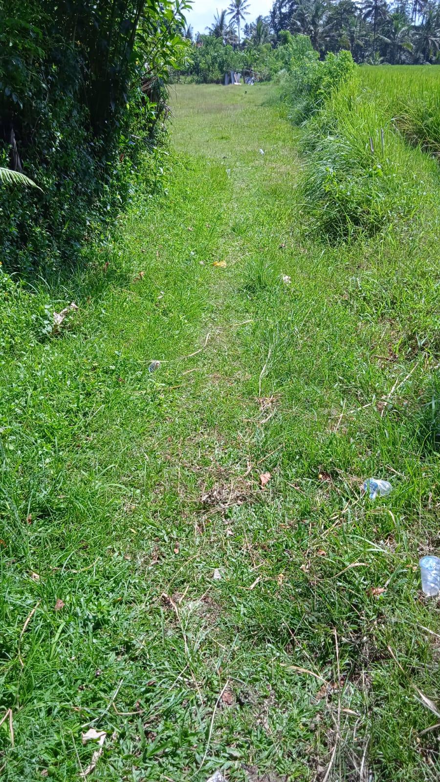 Land for sale in Pejeng, Gianyar Regency, Bali — photo 3