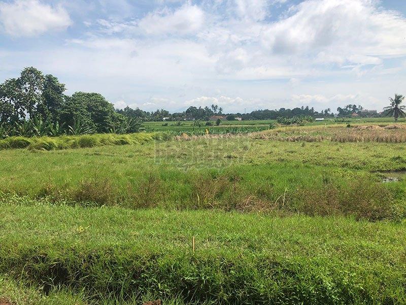 Prime Land Investment Opportunities in Kedungu / Invest Now!!! — photo 5