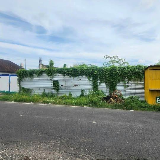 Land for sale in Denpasar, Bali — photo 1