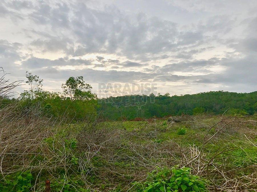 Perfect Freehold Land Plot for Sale in Jimbaran — photo 3
