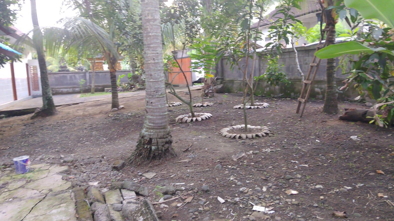 LAND FOR SALE WITH A BUILDING INCLUDED — photo 5