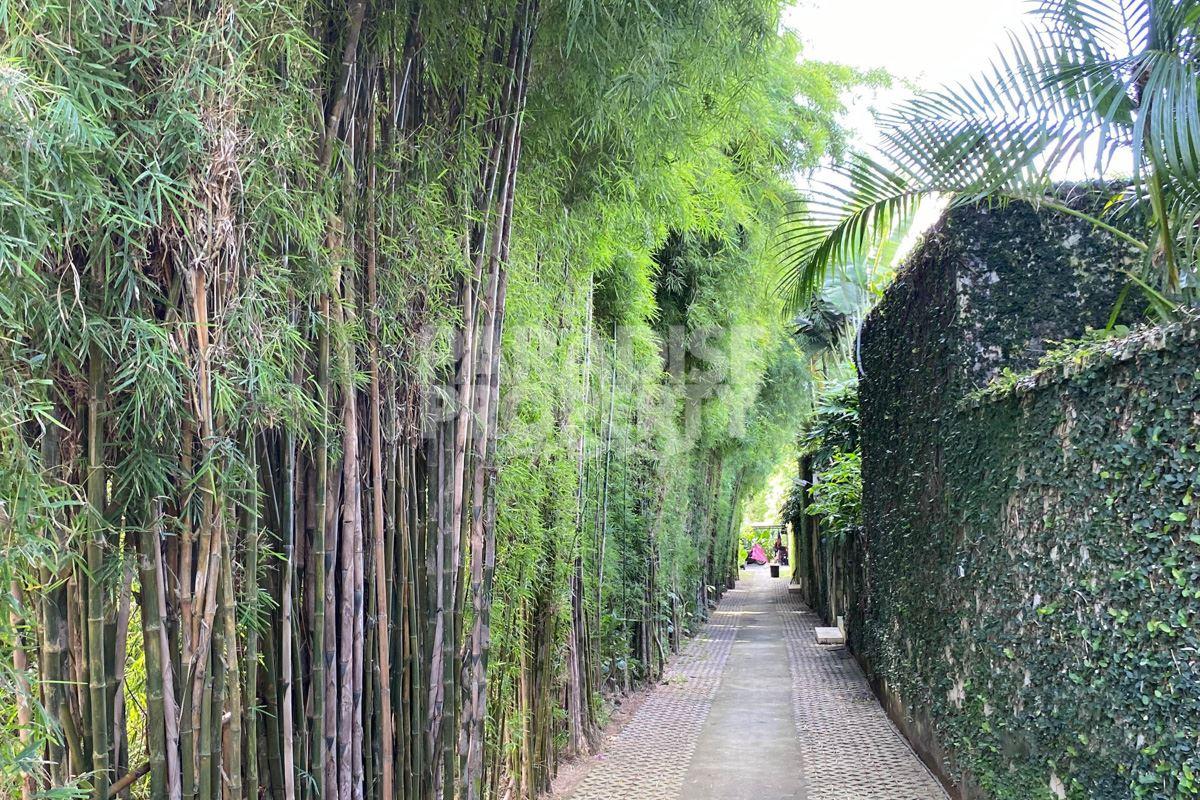 Prime Land in Umalas for Development — photo 1