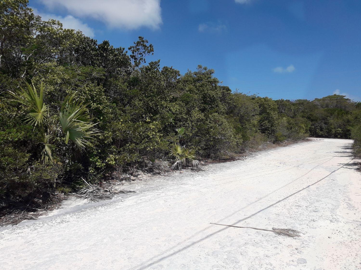 Bahamas Sound 14 Land Lot — photo 2