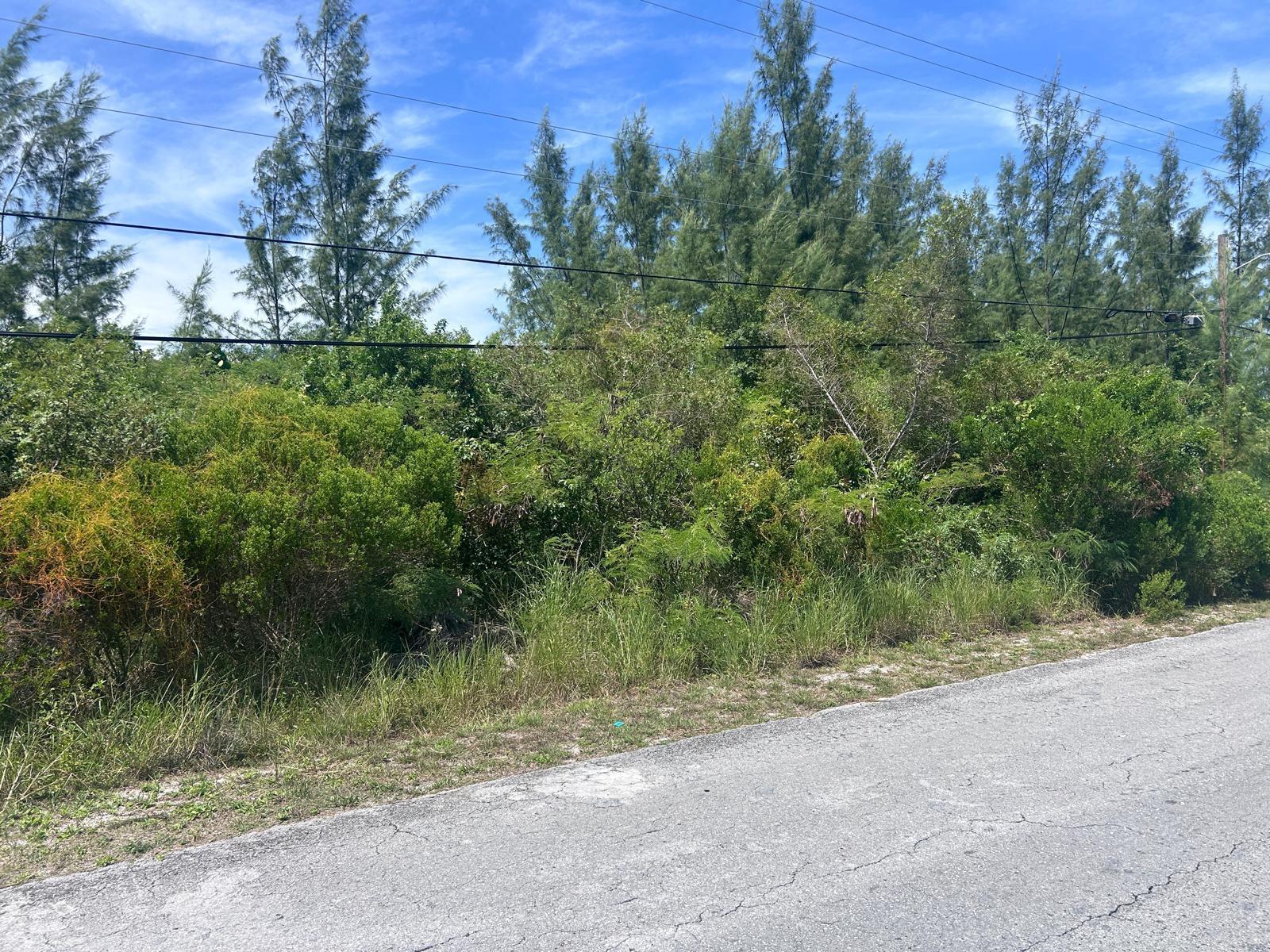1/2 Acre Multi Family Lot in Nassau — photo 2