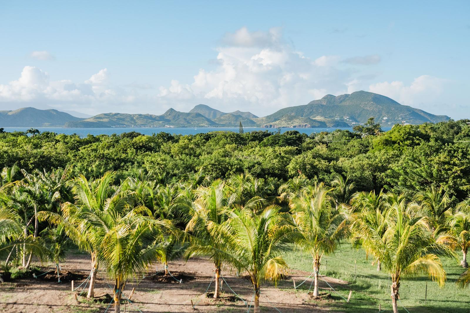 4 Bedroom Luxury Home for Sale, Oualie Bay, Nevis — photo 4