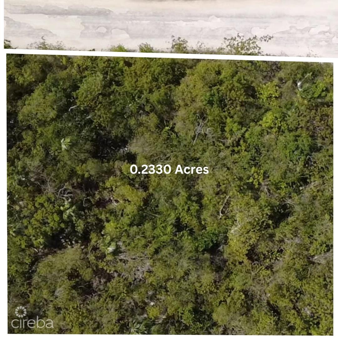 0.23 Acres Residential Lot Close To Colliers Beach — photo 4