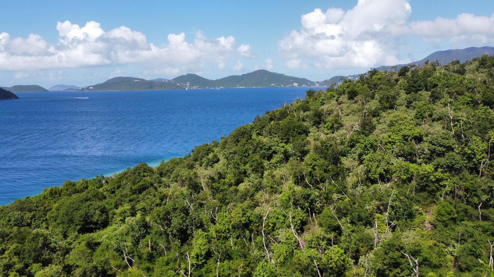 Land for sale in St. John, Virgin Islands (u.s.) — photo 4