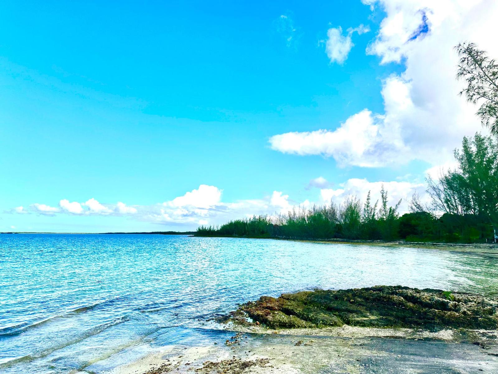 GREEN CASTLE 12-ACRE LOT — photo 5