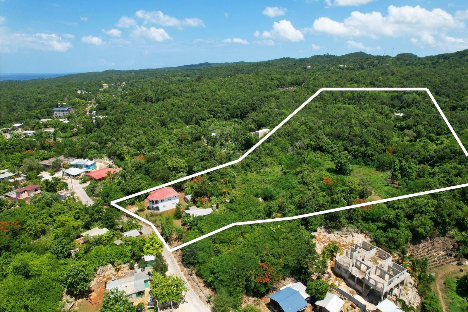 10 Acre Estate in Brighton, Westmoreland — photo 4