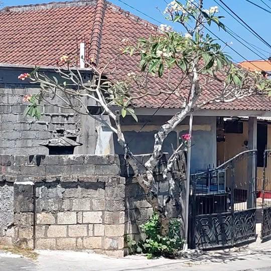 Land of 190 m² with 4 bedrooms in Badung — photo 1