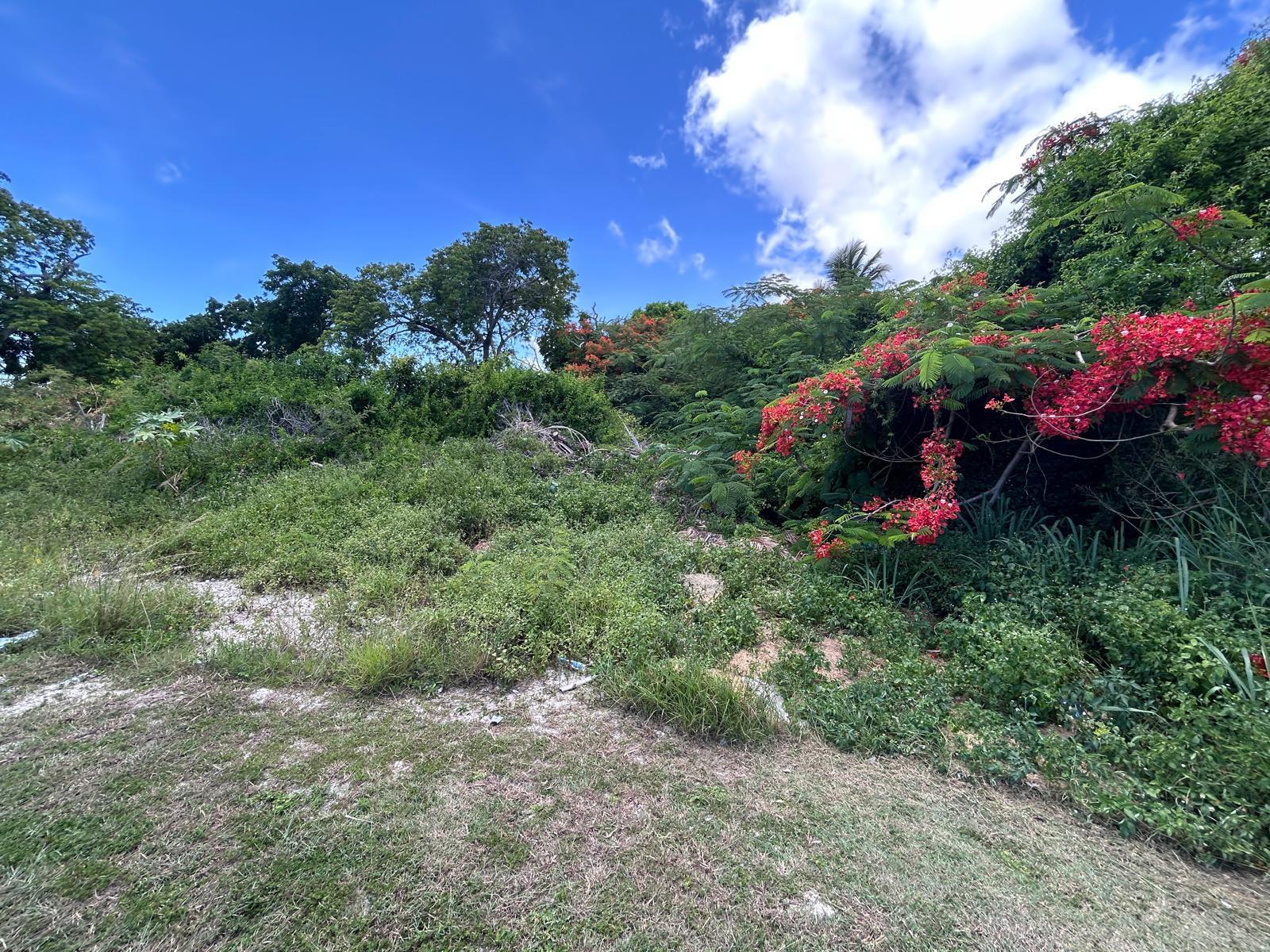 LOT #269, TULIP DRIVE — photo 3
