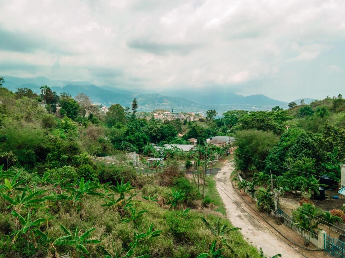 Red Hills Jamaica 0.32 Acre Opportunity — photo 4