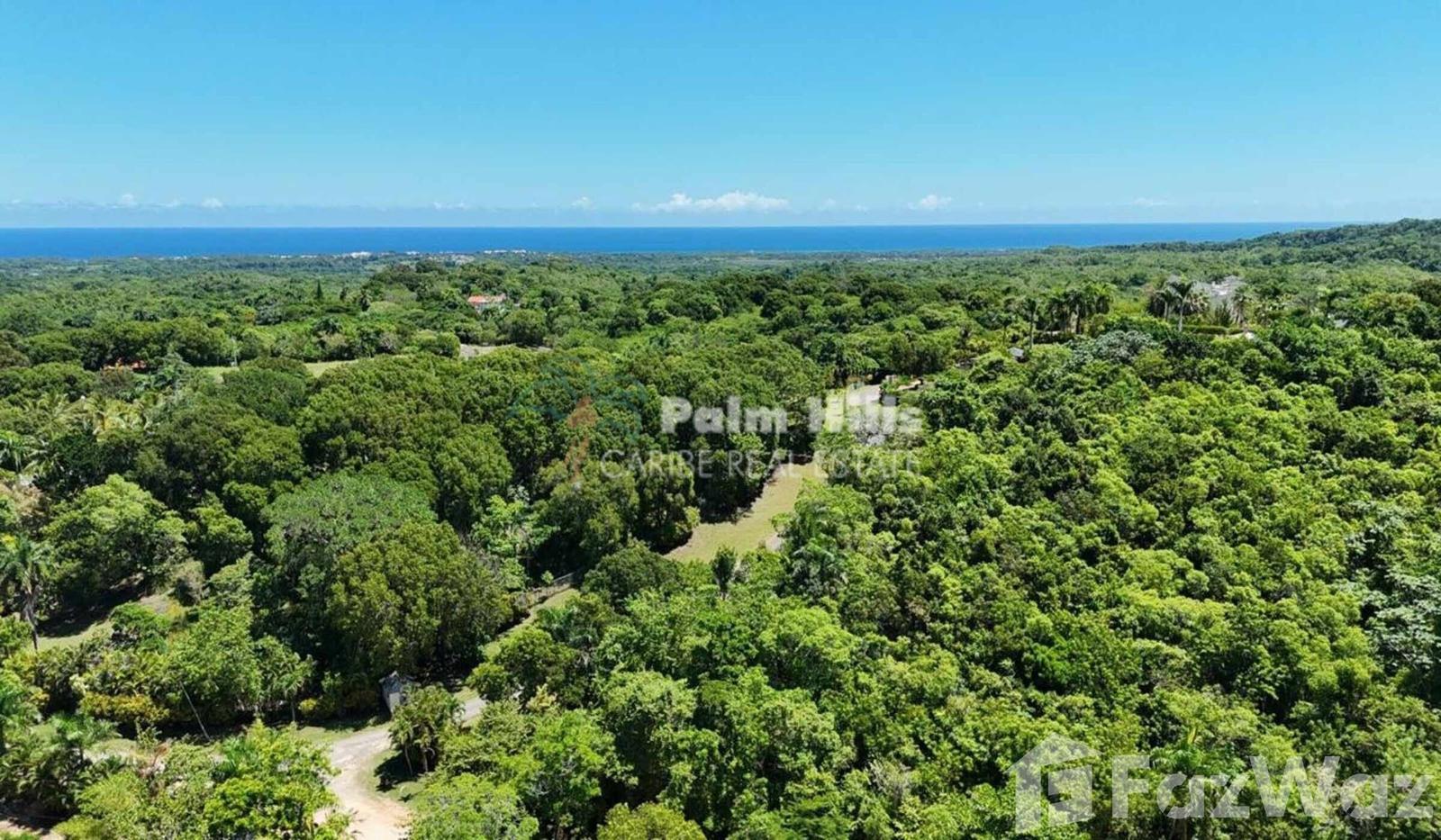 Farm for Sale in Sosua, Puerto Plata — photo 4