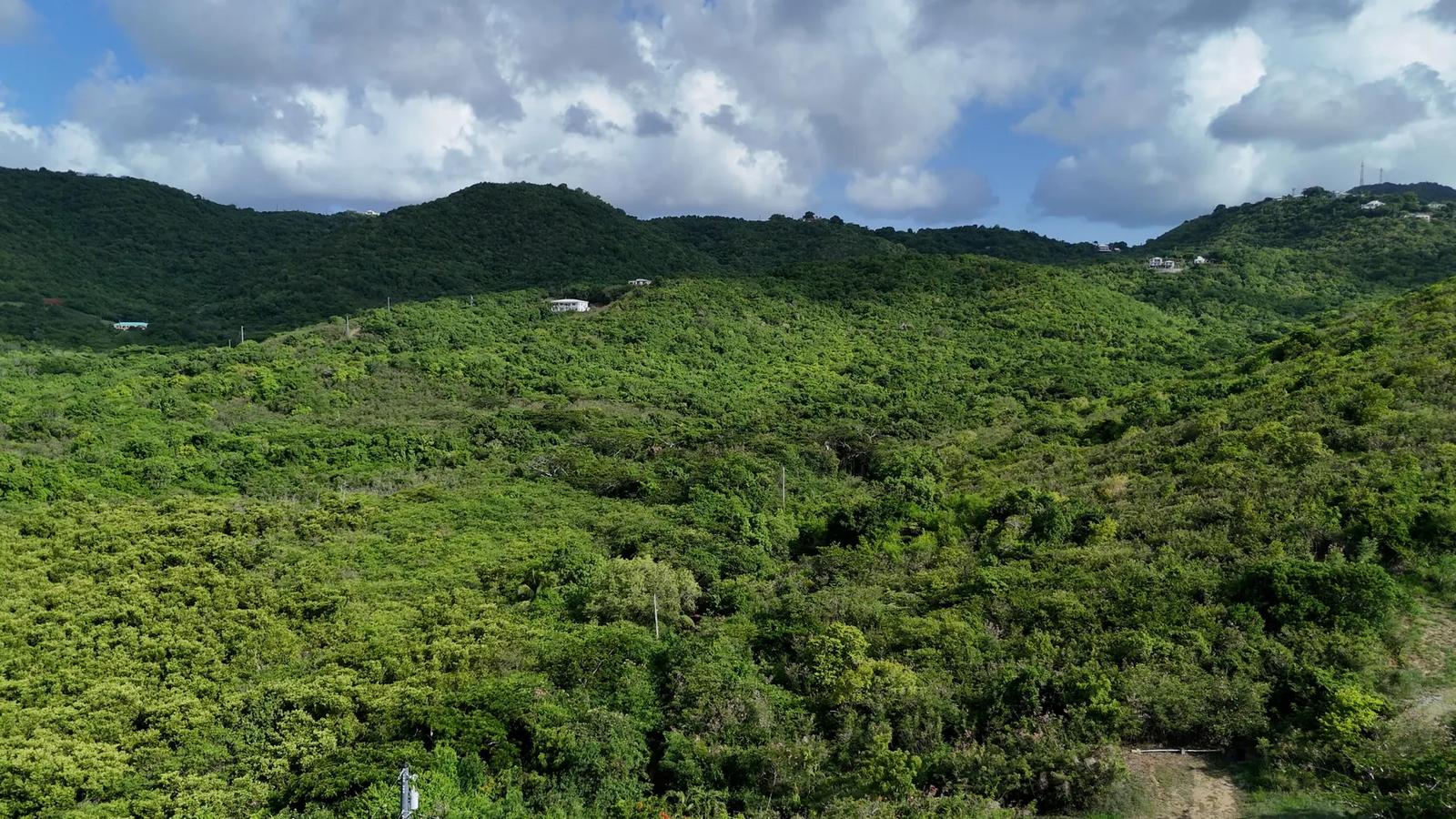 7.64 Acre Lot in Rust Op Twist, St. Croix — photo 4
