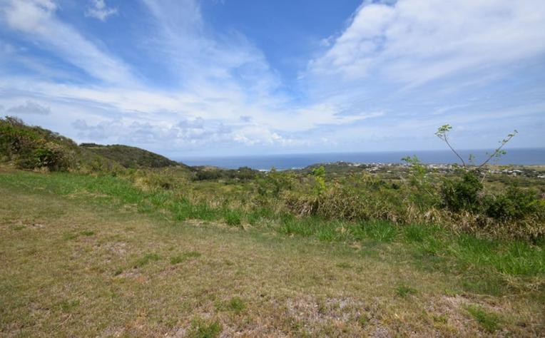 Mount Pleasant 0.84 Acre Oceanview Lot — photo 5