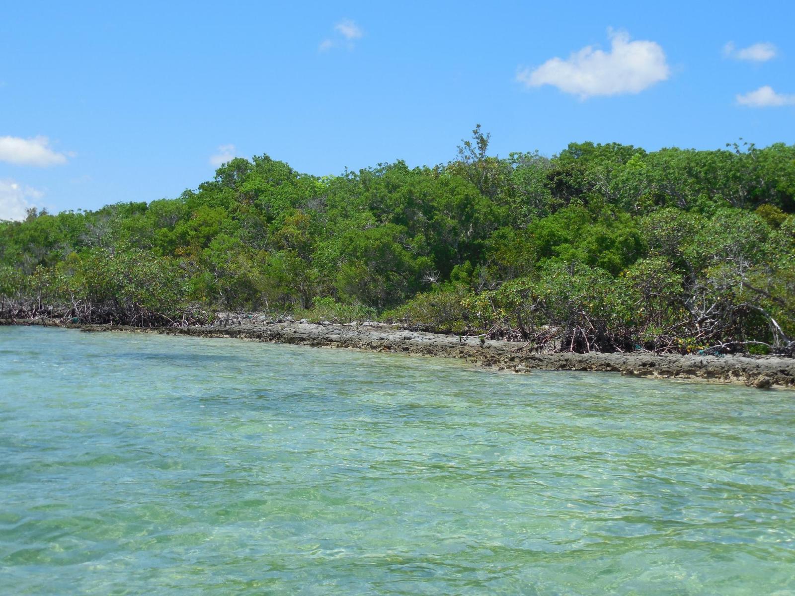 Residence Near Casuarina Point, Abaco Islands — photo 1