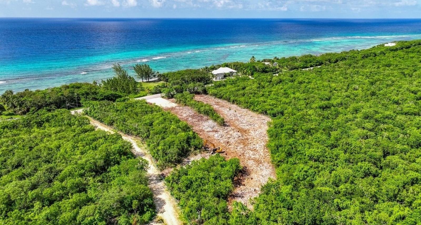 Nature Walk Lot #8 (0.2354 Acre) — photo 4