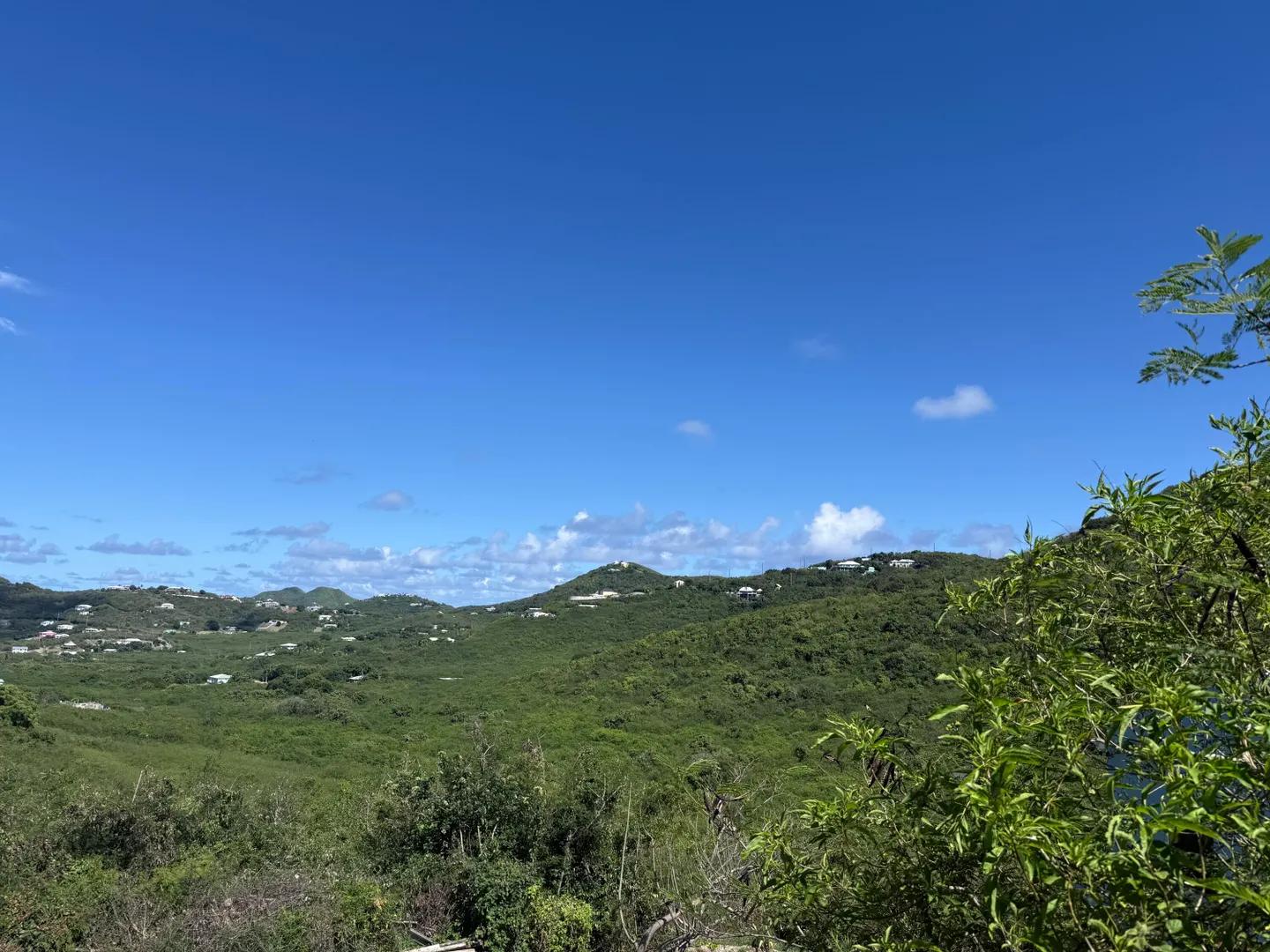 0.79 Acre Homesite in Cotton Valley, St. Croix — photo 3