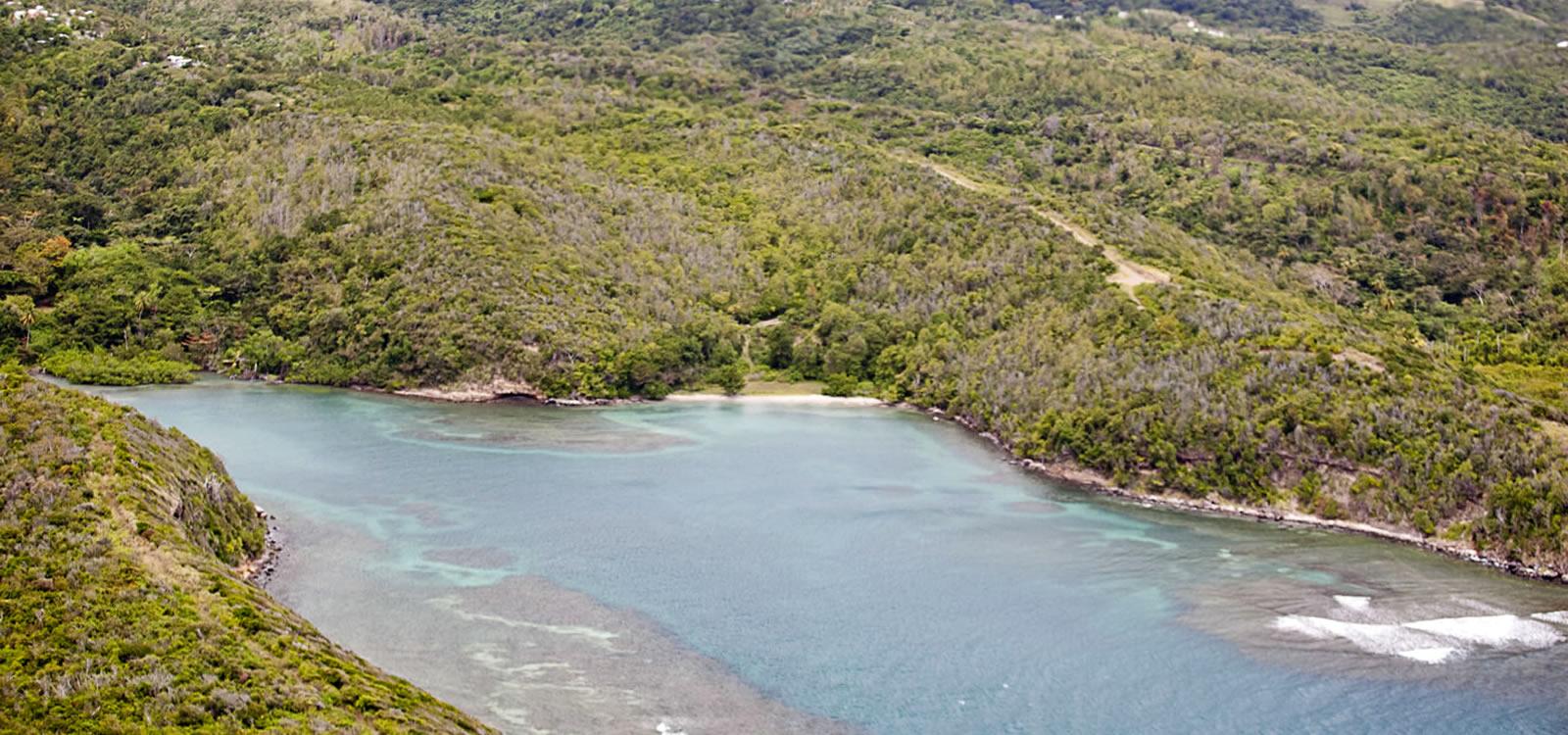 50 Acres Beachfront Land St. David's, Grenada — photo 2