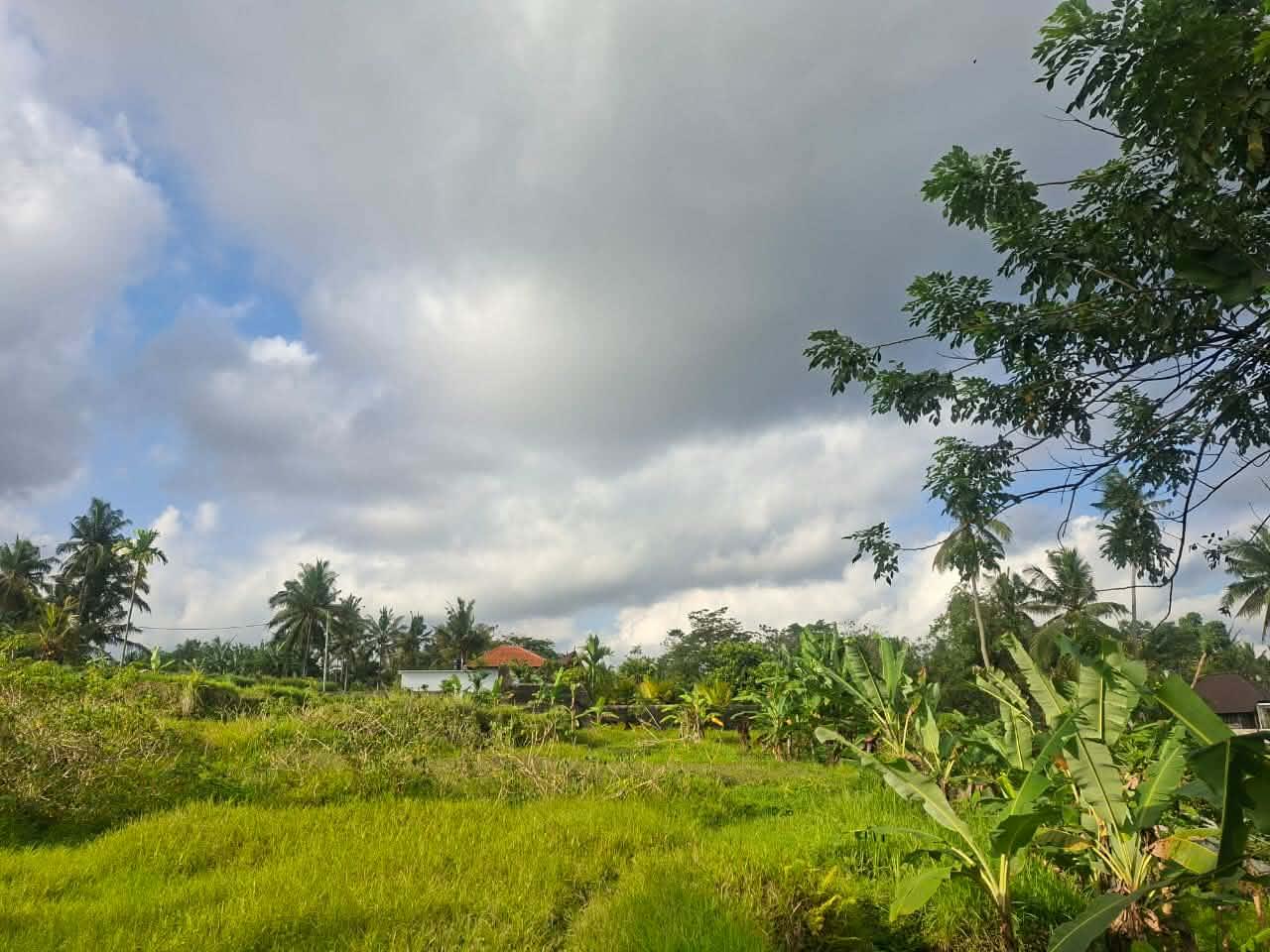 11 Are Land on Suweta Street – Prime Ubud Location — photo 2