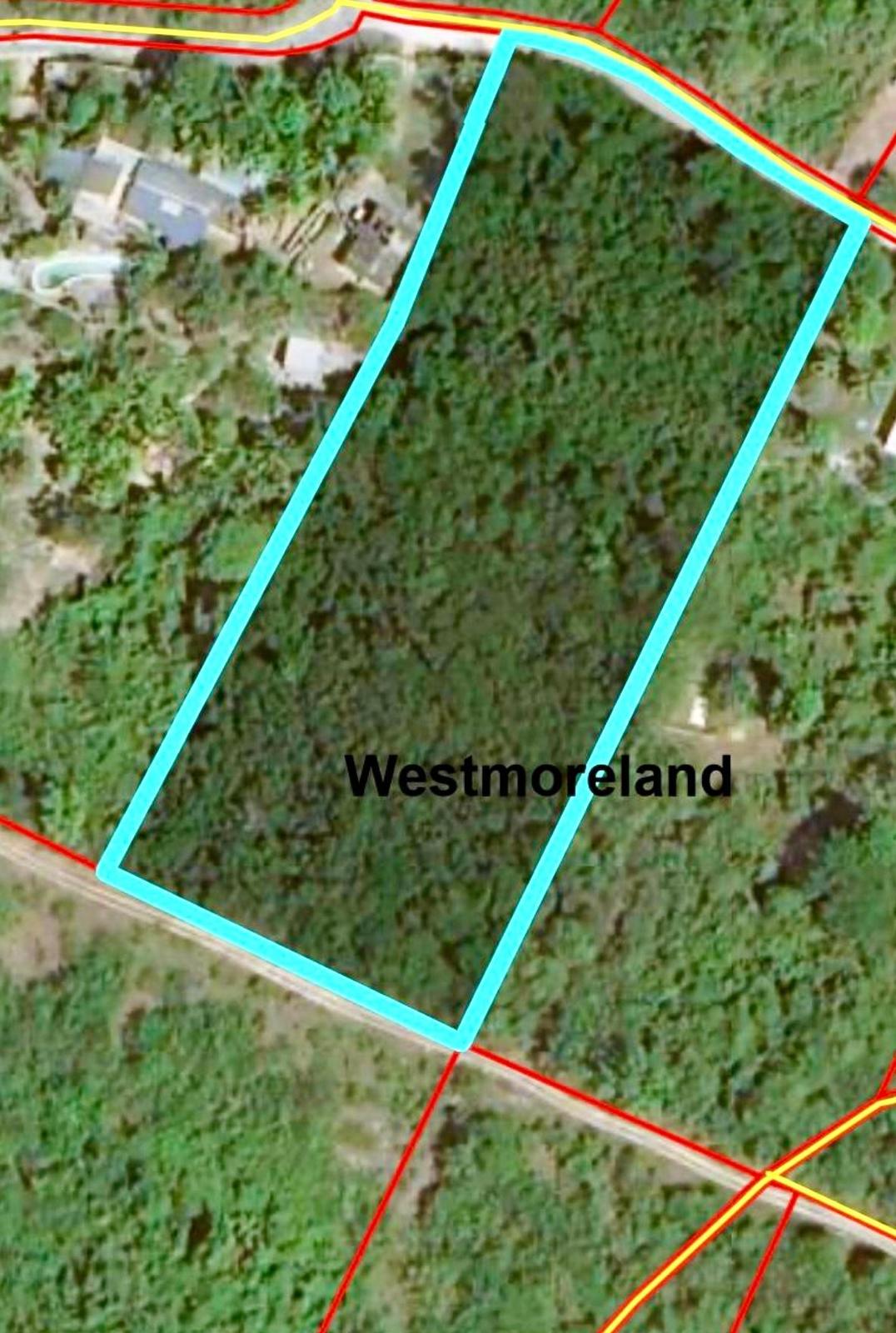 PITKELLENEY Westmoreland Negril — photo 3