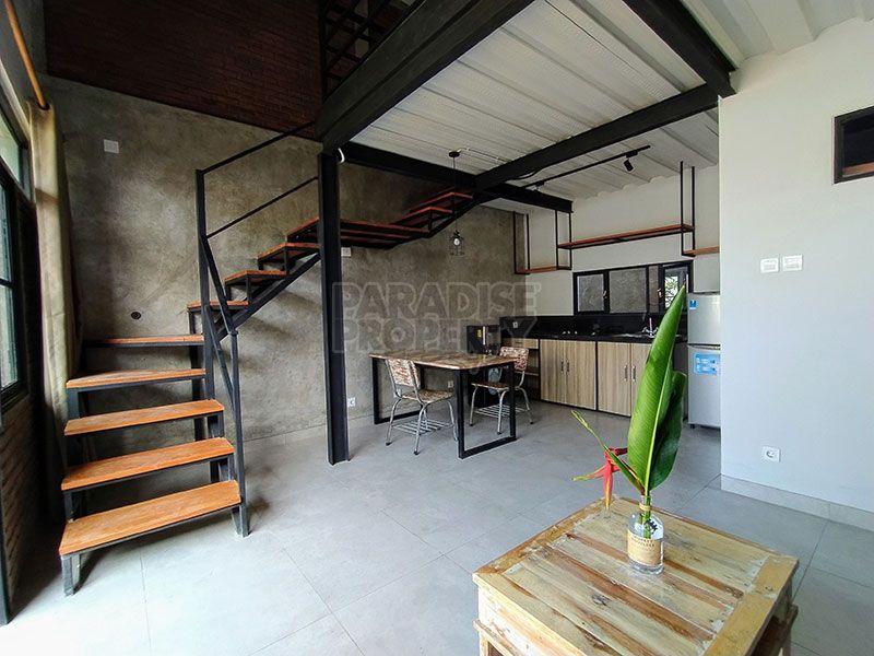 Brand New Loft Style Townhouse — photo 1