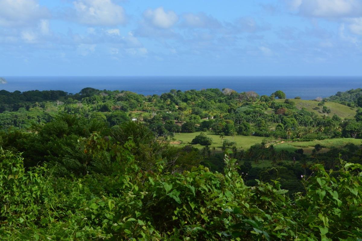 PRIME LAND OPPORTUNITY NEAR PLAYA RINCÓN – SAMANÁ — photo 5