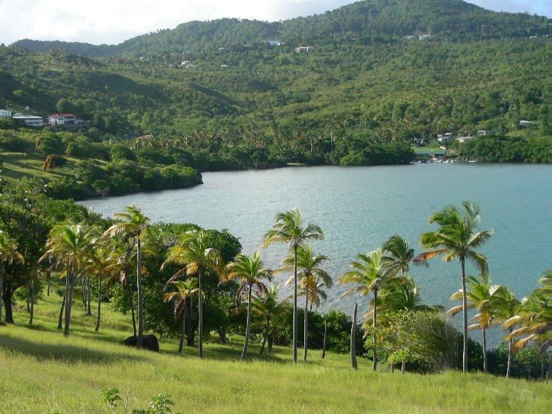 116 Acres Beachfront Land for Sale in Savannes Bay, St. Lucia — photo 2