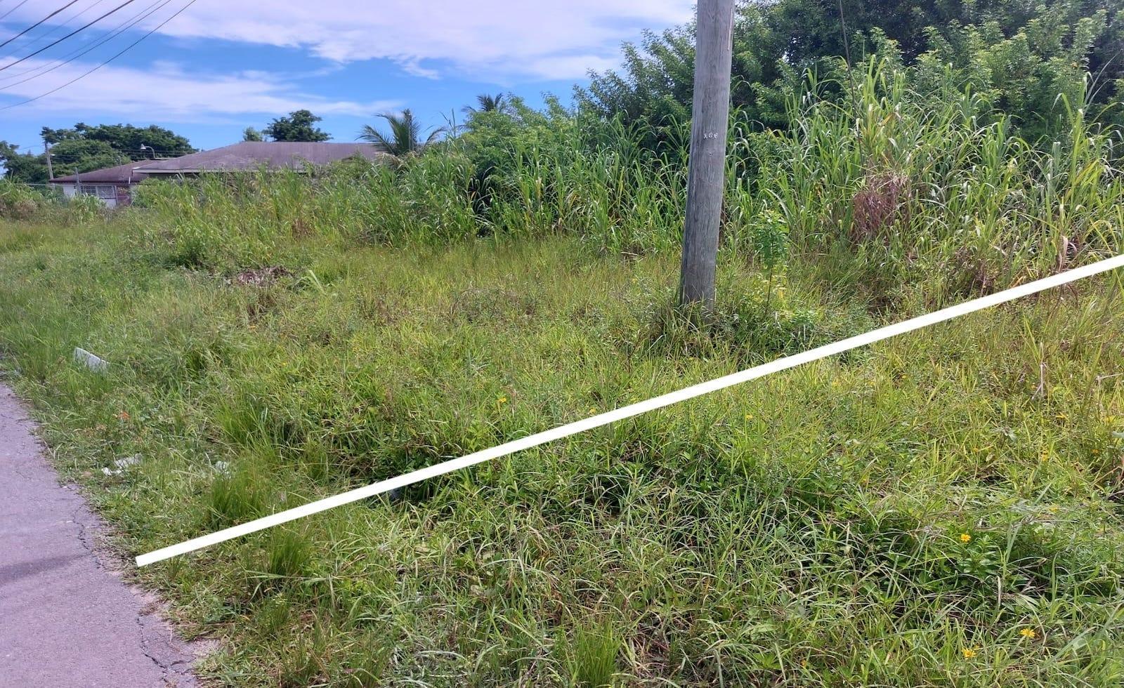 PALM BREEZE DR — photo 3