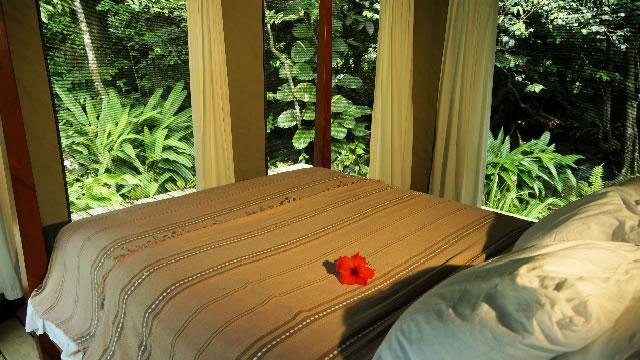 Boutique Hotel Resort for Sale on 17 Acres of Land, La Plaine, Dominica — photo 5