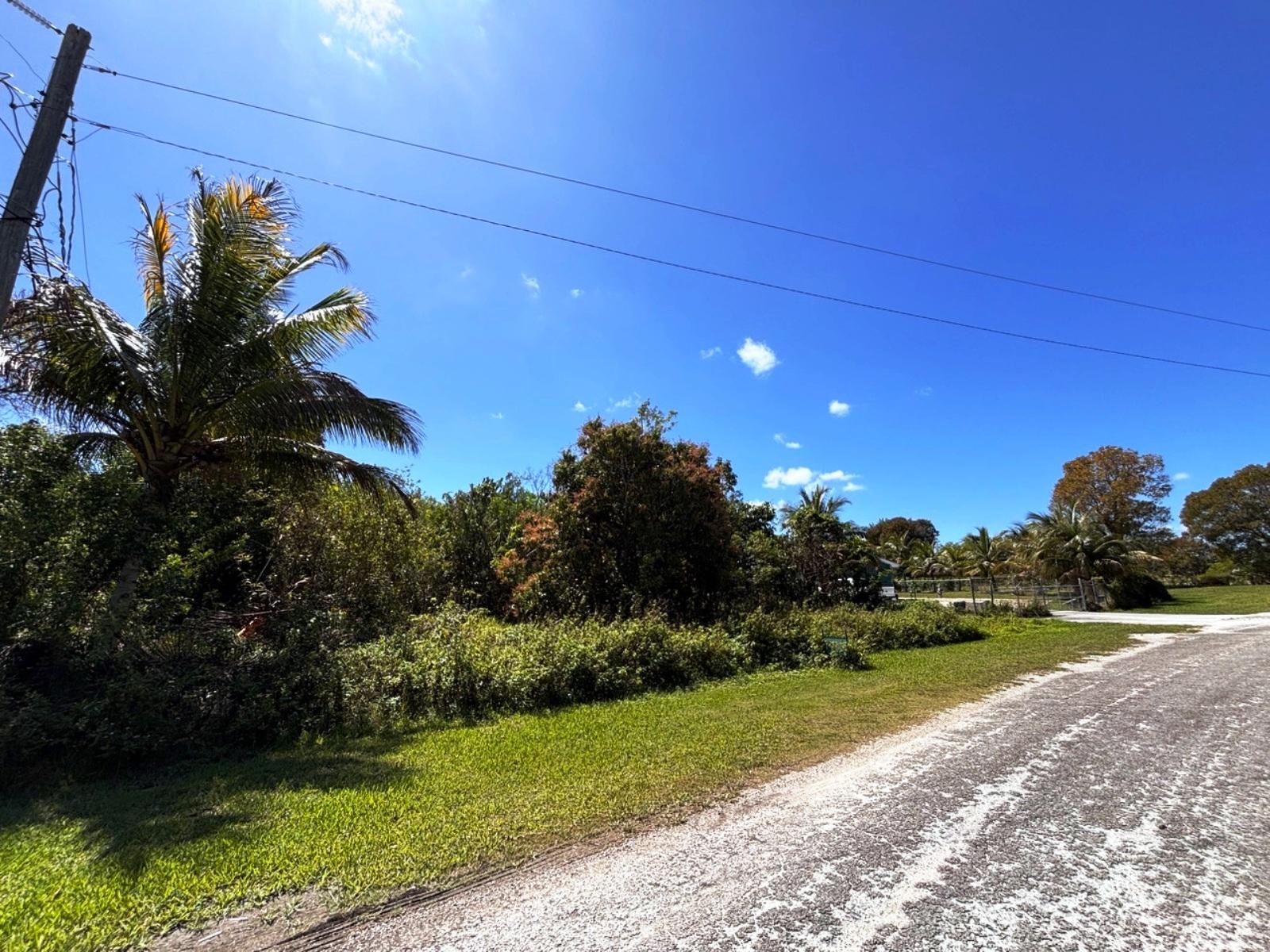 GREENING GLADE LOT — photo 5