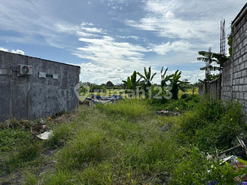Land plot for sale in Ubud, Bali — photo 3