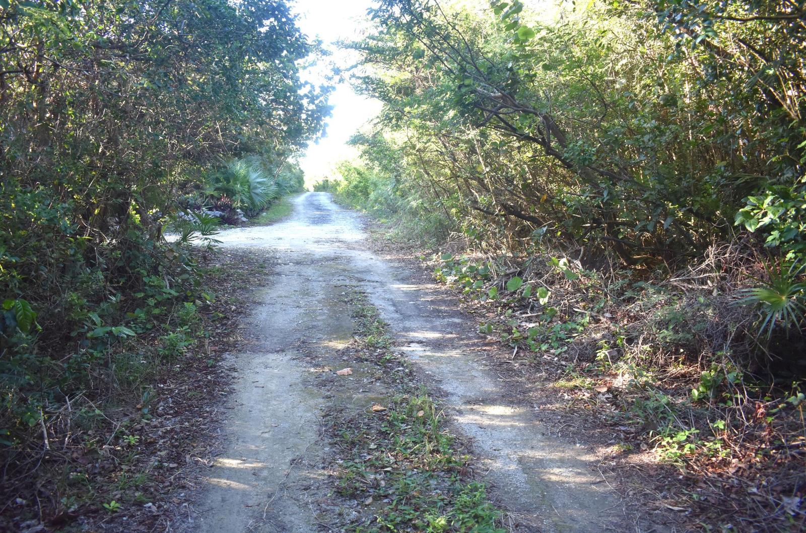WHALE POINT ESTATES — photo 3