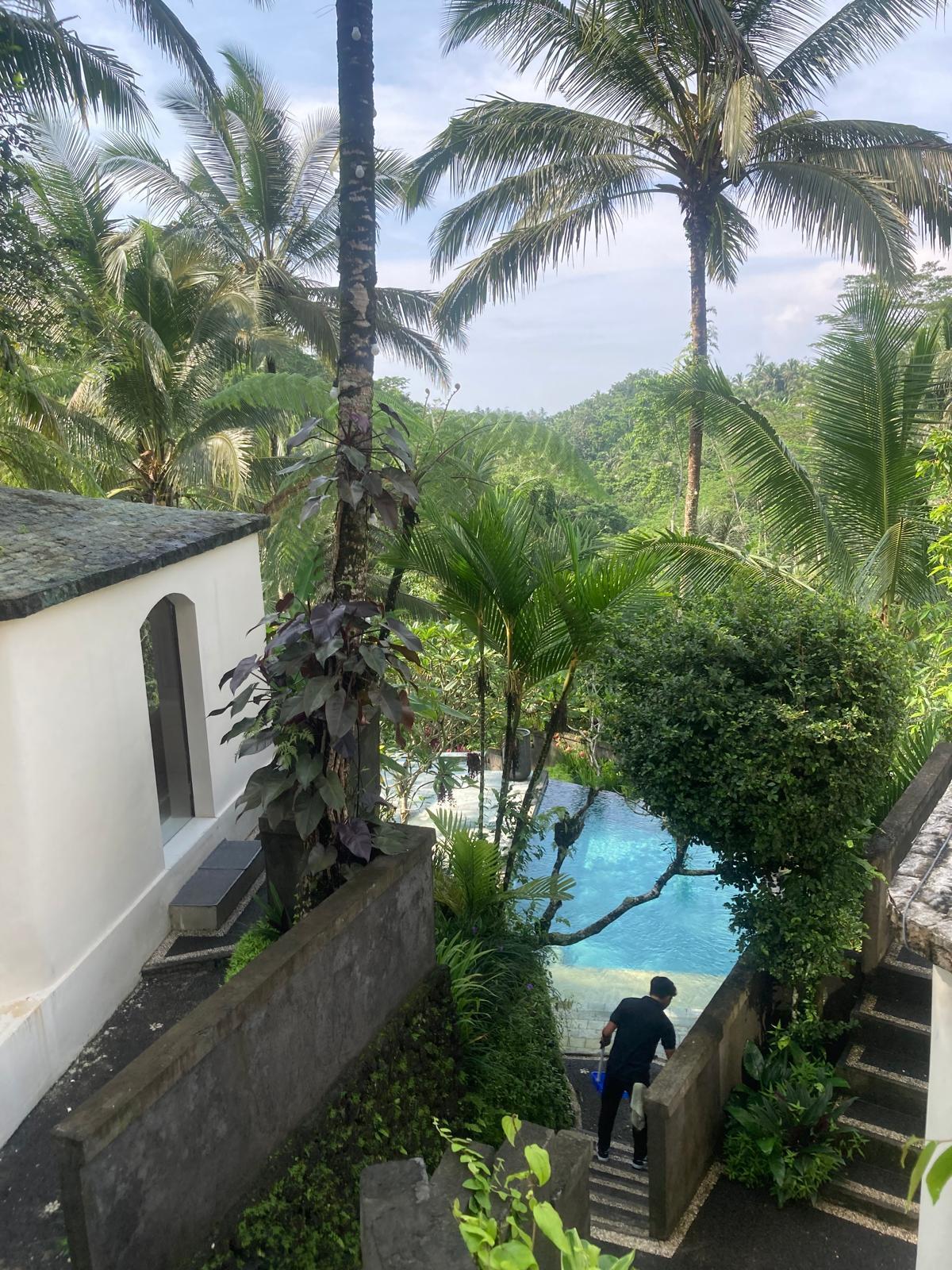Resort & Wellness Retreat for Sale in Tegalalang – Prime Investment Opportunity — photo 1