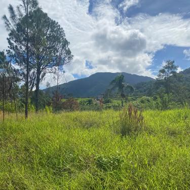 Terreno en Venta, Pedregal Jarabacoa - 1996 Metros — photo 5