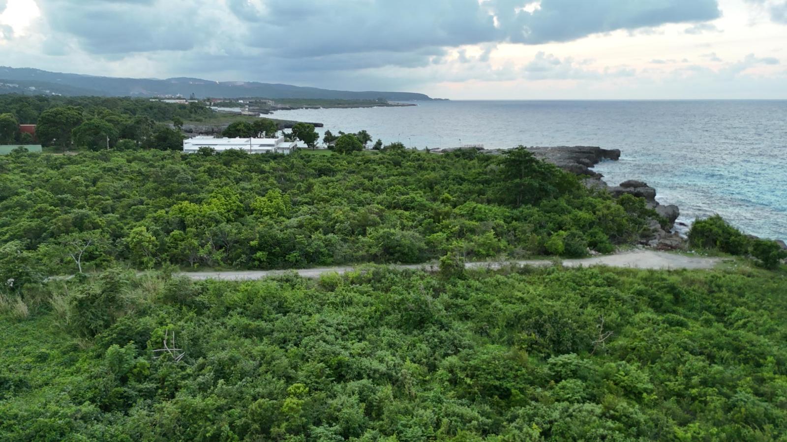 DAIRY St. Ann Discovery Bay — photo 4