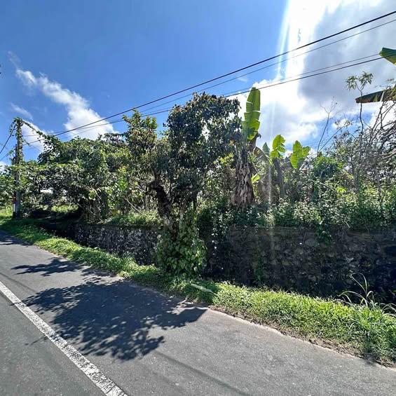 Studio house in Tabanan — photo 1