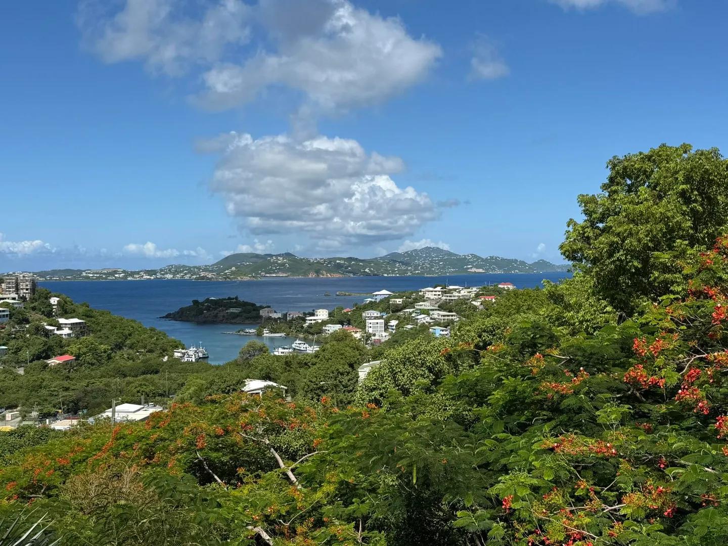 Hibiscus Serendip - St. John — photo 1