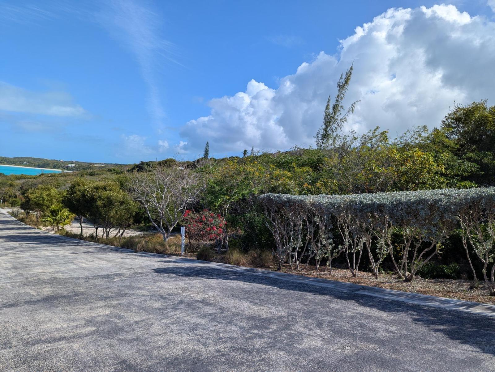#4 TAYLOR MACKENZIE DRIVE — photo 5
