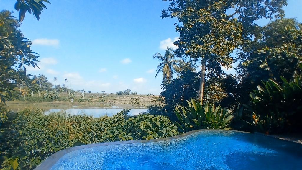 4-Unit Lumbung Villa Complex with Rice Field, River & Sunset Views – Central Singapadu, Ubud — photo 4