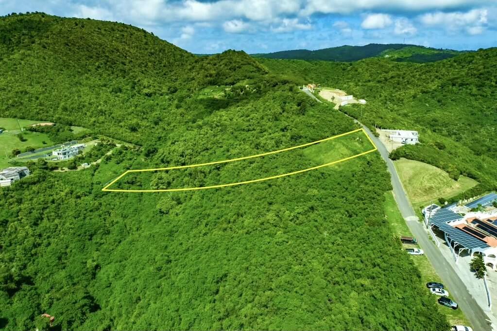 Residential Land for Sale - 37 Hope Pr, St. Croix, VI — photo 2