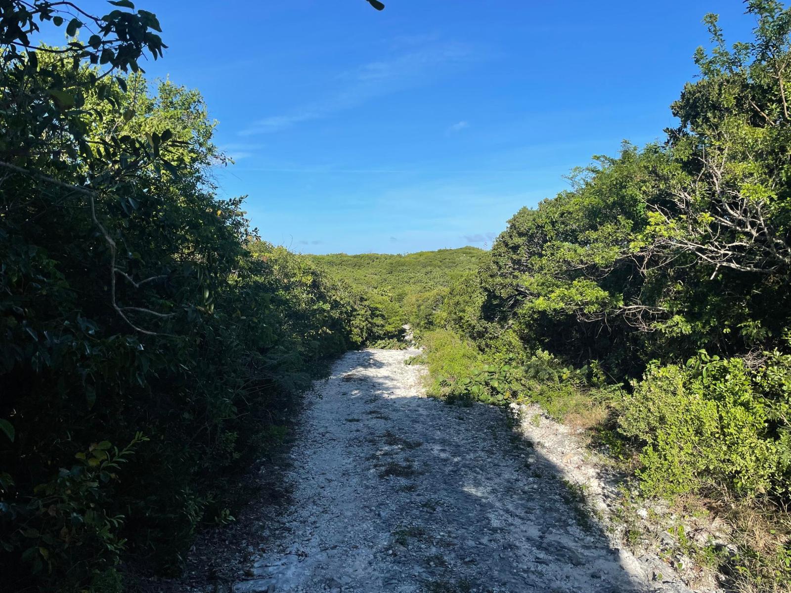 ELEUTHERA ISLAND SHORES — photo 3