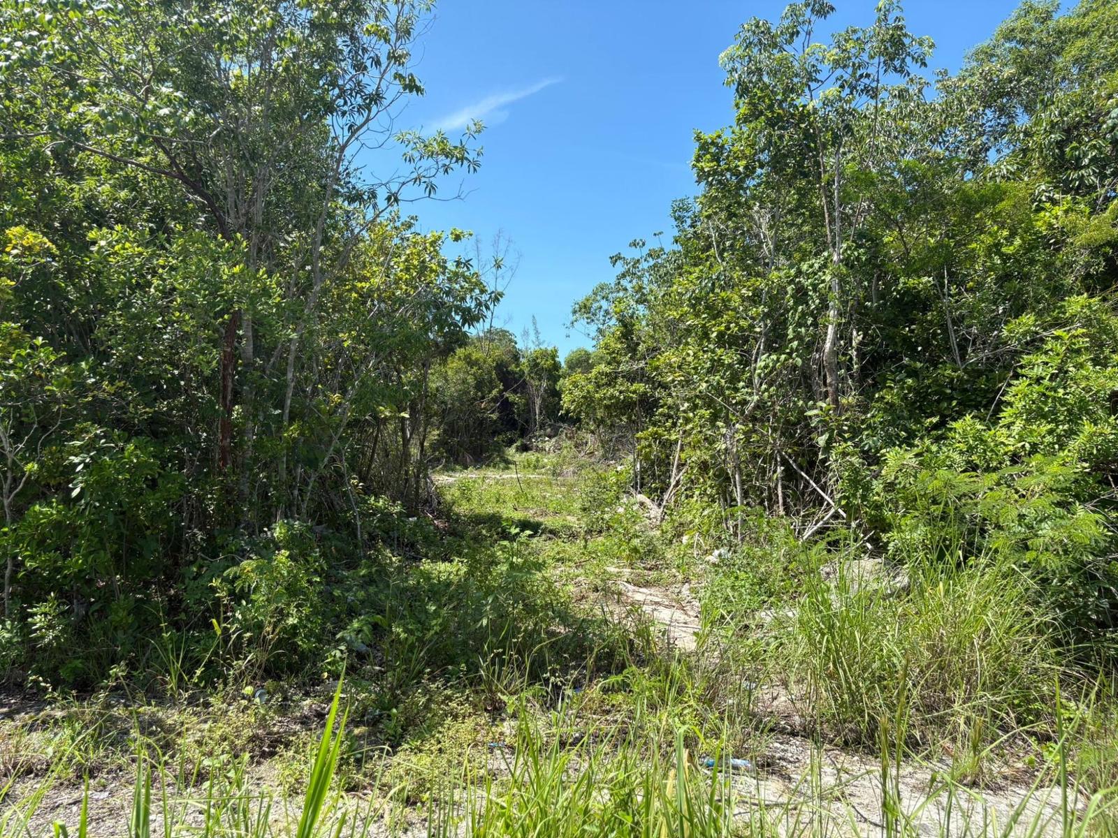 OFF ADELAIDE BEACH ROAD — photo 4