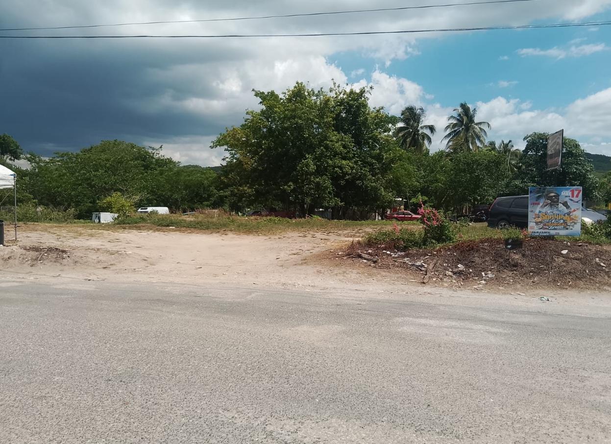 TOMBSTONE St. Elizabeth Lacovia Land for Sale — photo 3