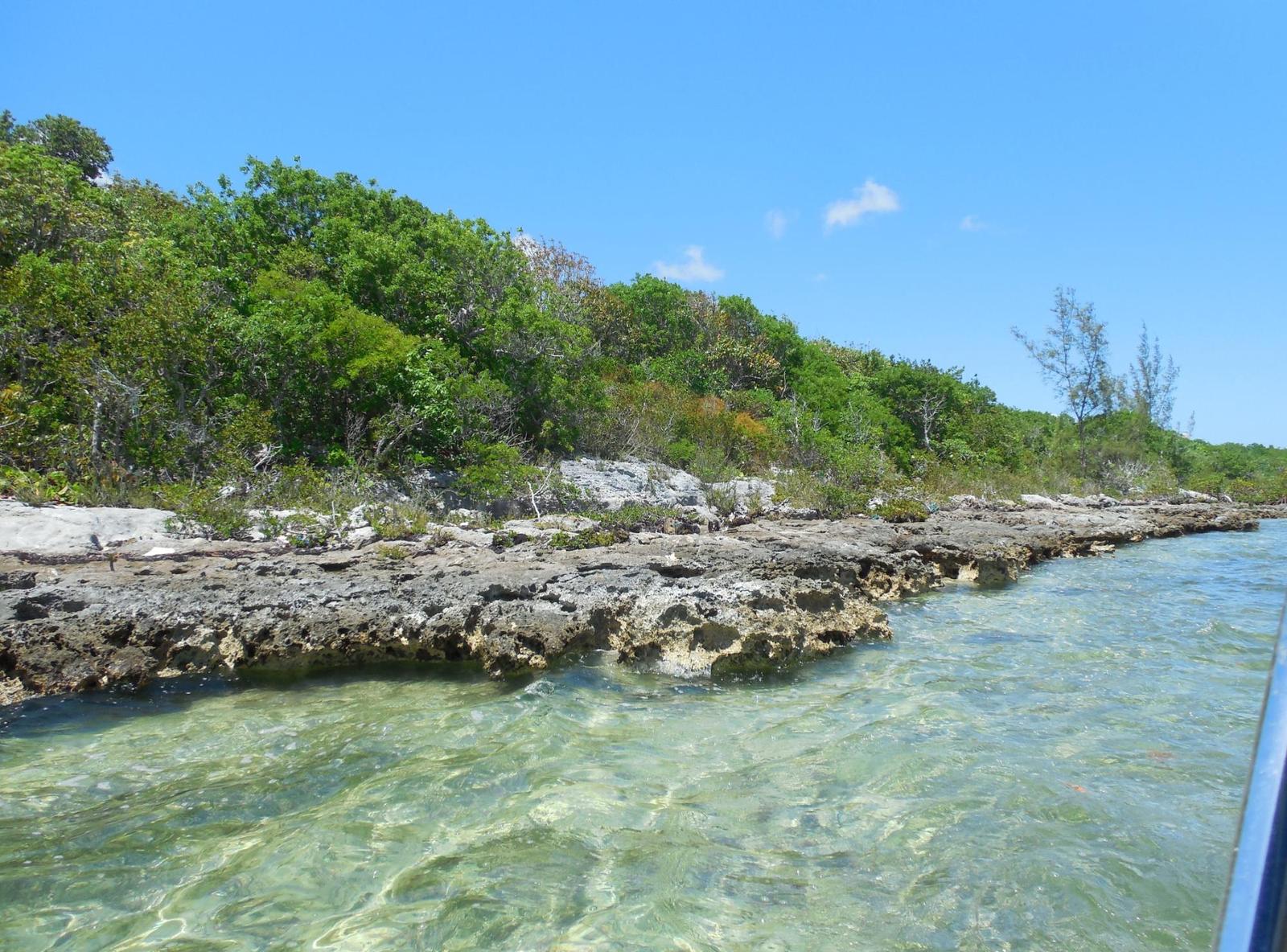 Residence Near Casuarina Point, Abaco Islands — photo 3